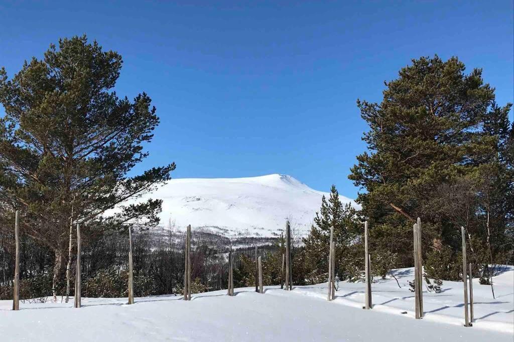 אופדאל Fjellro Mountain Cabin מראה חיצוני תמונה